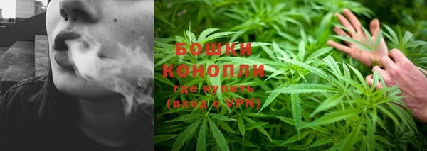 молекула духа Волоколамск