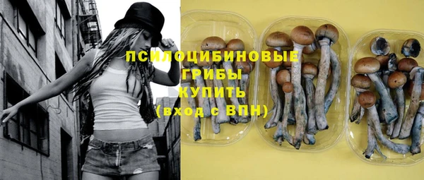 молекула духа Волоколамск