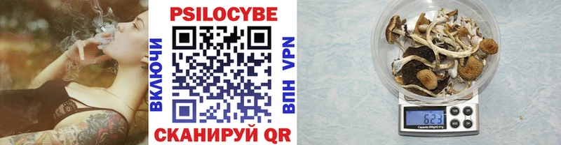 Псилоцибиновые грибы Psilocybine cubensis  Купить закладки  Олонец 